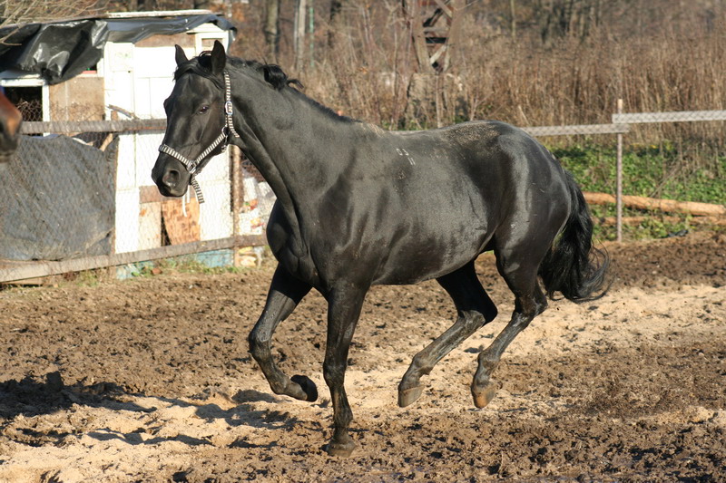 IMG_1336.jpg1.jpg"%20height="533"%20width="800